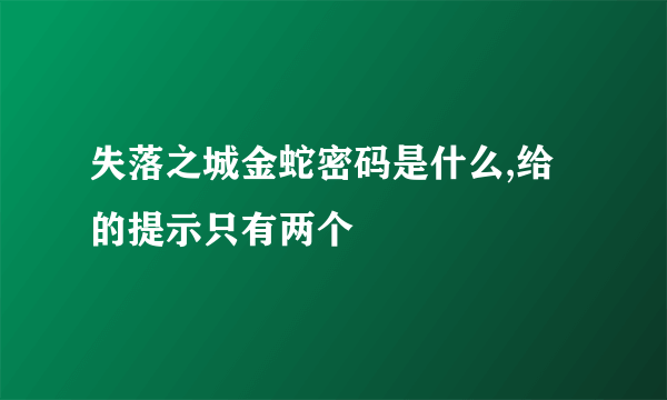 失落之城金蛇密码是什么,给的提示只有两个