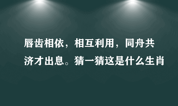 唇齿相依，相互利用，同舟共济才出息。猜一猜这是什么生肖