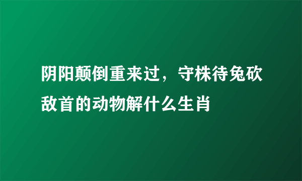 阴阳颠倒重来过，守株待兔砍敌首的动物解什么生肖