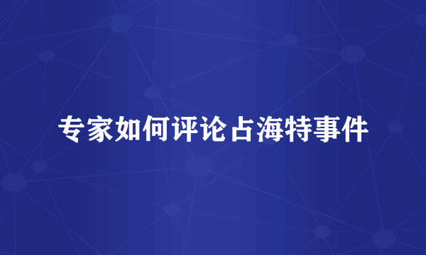 专家如何评论占海特事件