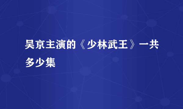 吴京主演的《少林武王》一共多少集