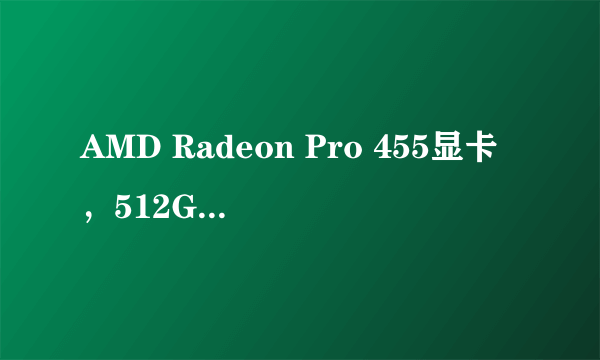 AMD Radeon Pro 455显卡，512GB PCI-E固态硬盘，