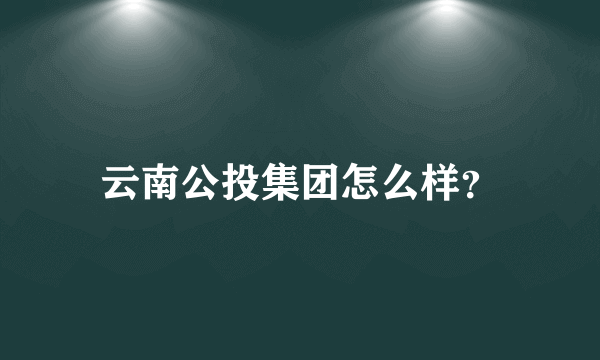 云南公投集团怎么样？