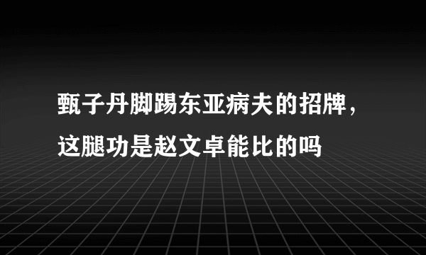 甄子丹脚踢东亚病夫的招牌，这腿功是赵文卓能比的吗