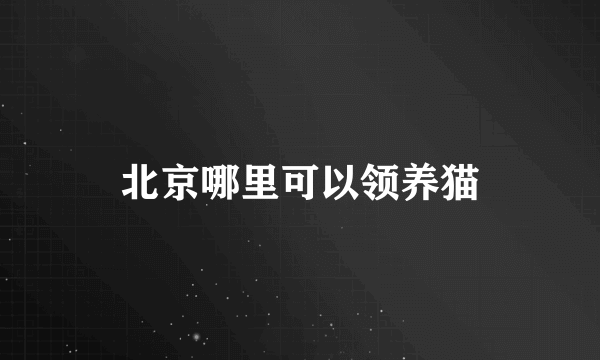 北京哪里可以领养猫