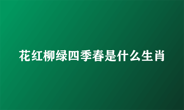 花红柳绿四季春是什么生肖