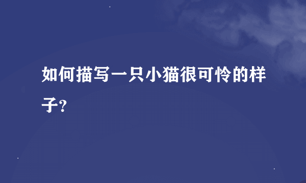 如何描写一只小猫很可怜的样子？