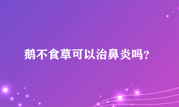 鹅不食草可以治鼻炎吗？