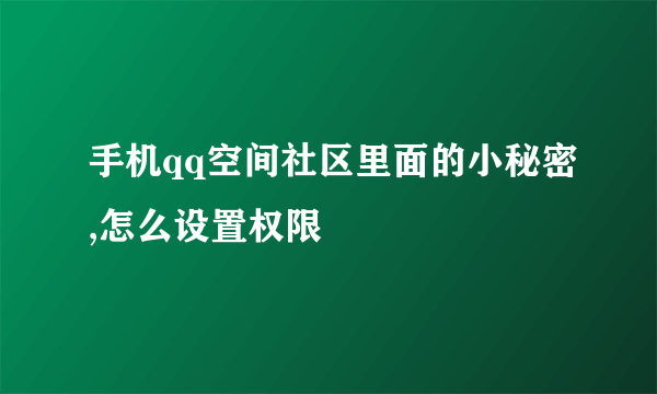 手机qq空间社区里面的小秘密,怎么设置权限