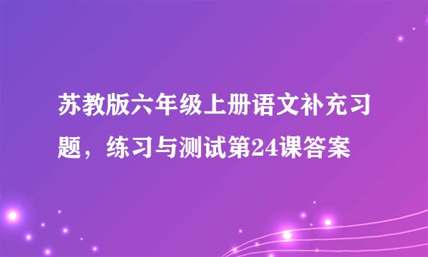 苏教版六年级上册语文补充习题，练习与测试第24课答案