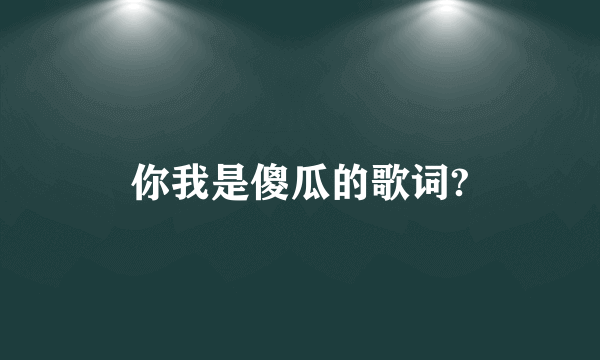 你我是傻瓜的歌词?