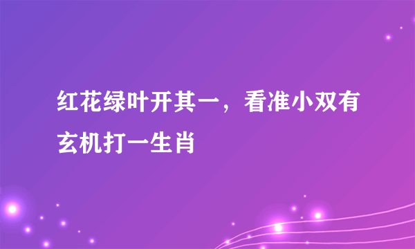 红花绿叶开其一，看准小双有玄机打一生肖