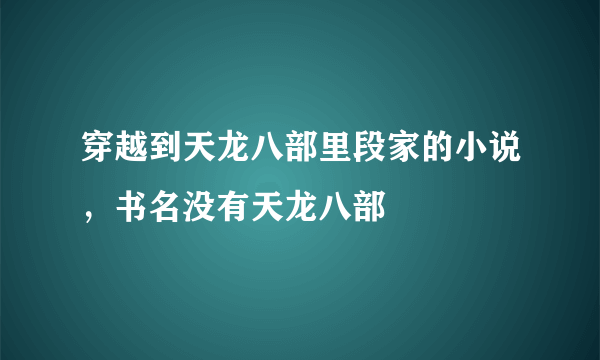 穿越到天龙八部里段家的小说，书名没有天龙八部