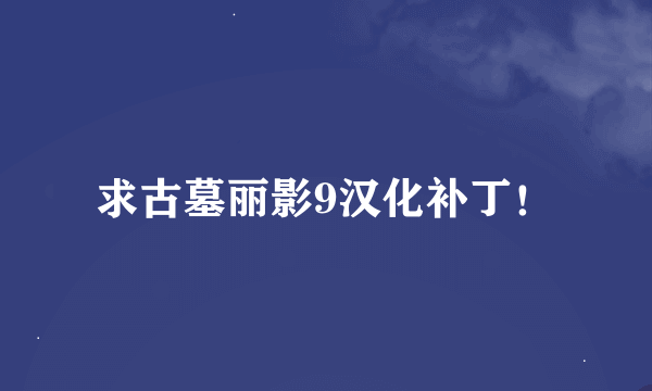 求古墓丽影9汉化补丁！