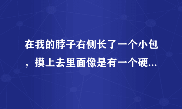 在我的脖子右侧长了一个小包，摸上去里面像是有一个硬硬的小圆珠，是怎么回事呀？