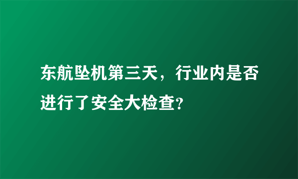 东航坠机第三天，行业内是否进行了安全大检查？