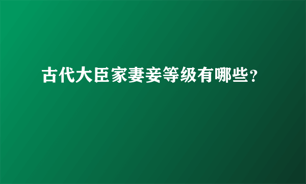 古代大臣家妻妾等级有哪些？