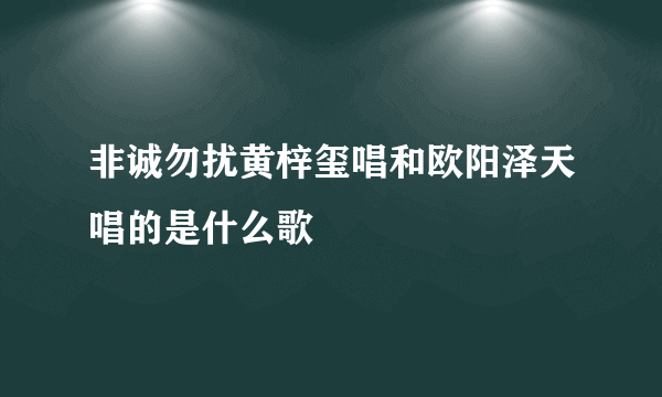 非诚勿扰黄梓玺唱和欧阳泽天唱的是什么歌