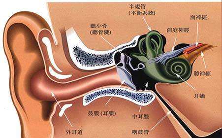 为什么觉得录音的声音和自己的不一样，很难听？