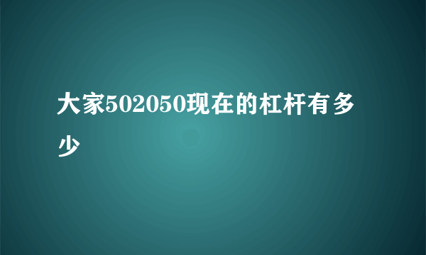 大家502050现在的杠杆有多少