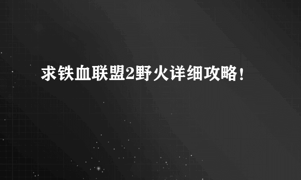 求铁血联盟2野火详细攻略！