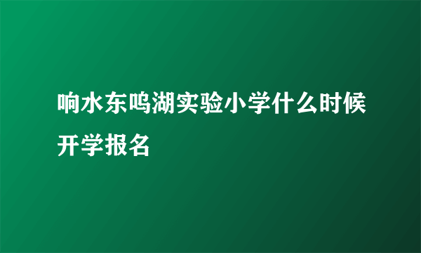 响水东呜湖实验小学什么时候开学报名