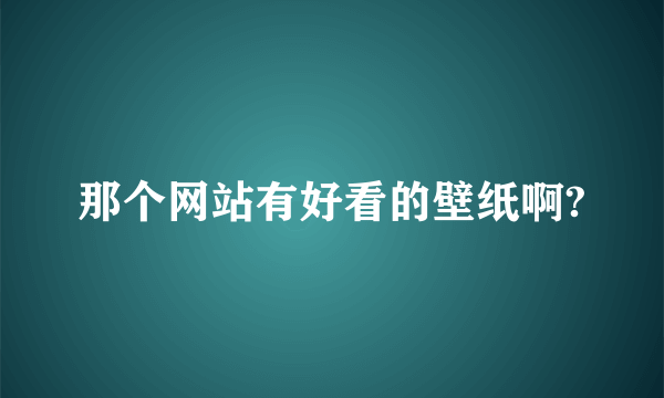 那个网站有好看的壁纸啊?