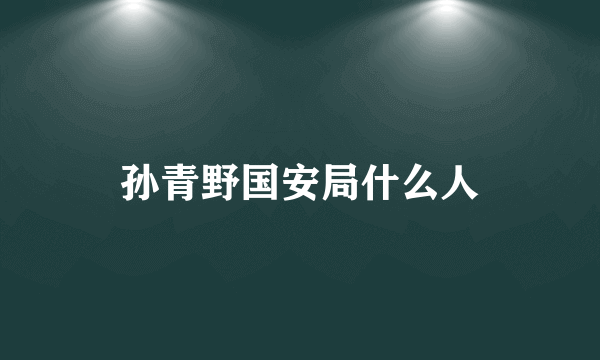 孙青野国安局什么人