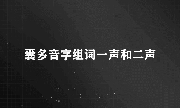 囊多音字组词一声和二声