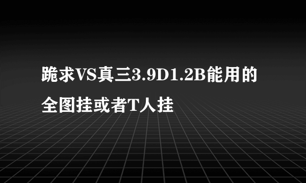 跪求VS真三3.9D1.2B能用的全图挂或者T人挂