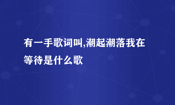 有一手歌词叫,潮起潮落我在等待是什么歌