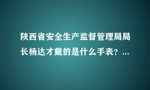 陕西省安全生产监督管理局局长杨达才戴的是什么手表？真的很值钱吗？