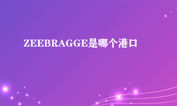 ZEEBRAGGE是哪个港口