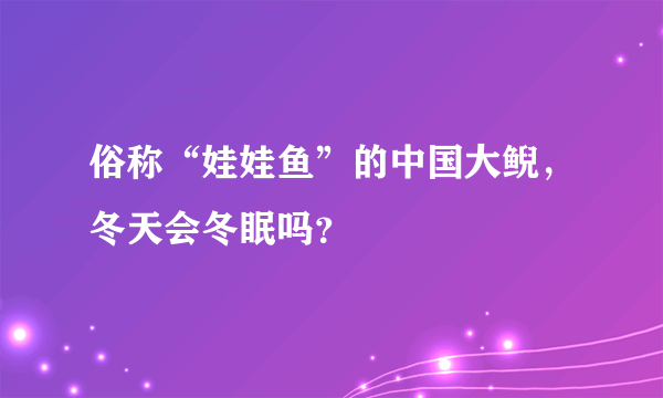 俗称“娃娃鱼”的中国大鲵，冬天会冬眠吗？