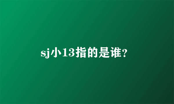 sj小13指的是谁？