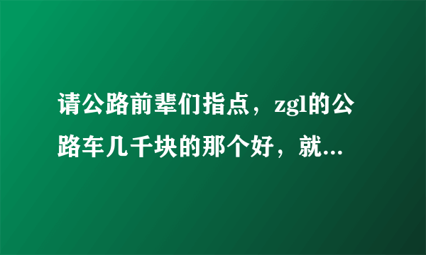 请公路前辈们指点，zgl的公路车几千块的那个好，就是结实，耐操。zgl国家队定制版怎么样。请指点迷