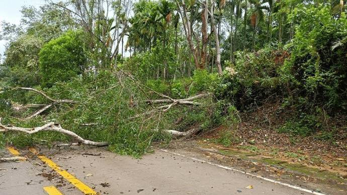 今年第4号台风“小熊”生成，第4号台风会影响到我国吗？