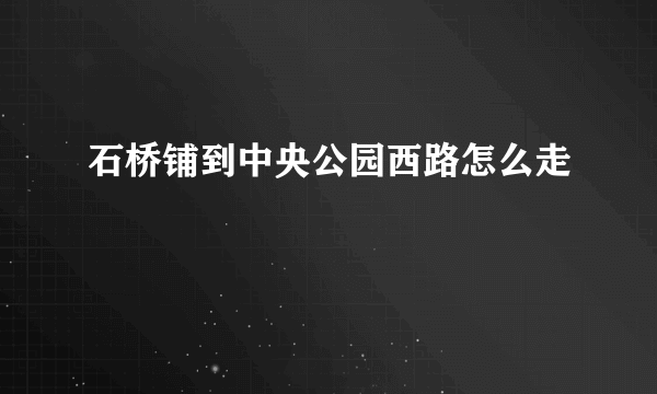 石桥铺到中央公园西路怎么走