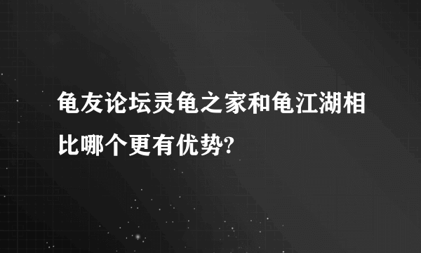 龟友论坛灵龟之家和龟江湖相比哪个更有优势?