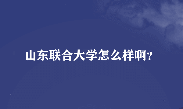 山东联合大学怎么样啊？