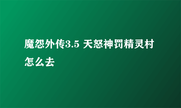 魔怨外传3.5 天怒神罚精灵村怎么去