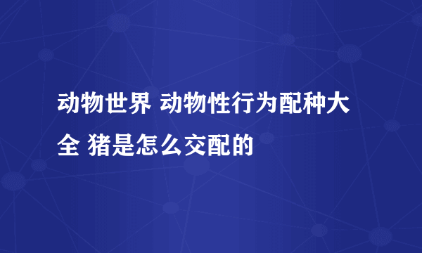 动物世界 动物性行为配种大全 猪是怎么交配的