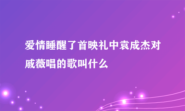 爱情睡醒了首映礼中袁成杰对戚薇唱的歌叫什么