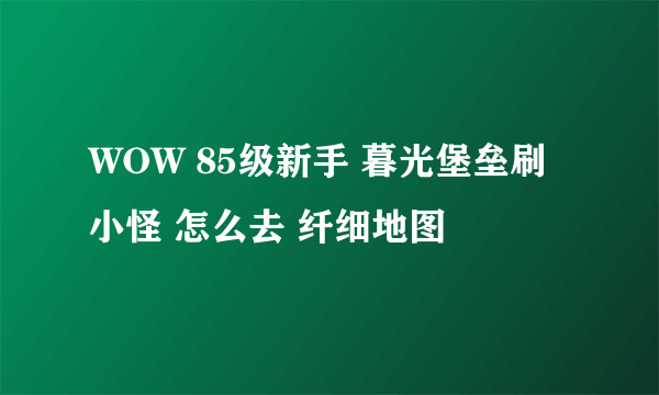 WOW 85级新手 暮光堡垒刷小怪 怎么去 纤细地图