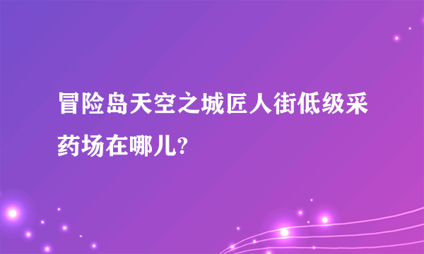 冒险岛天空之城匠人街低级采药场在哪儿?