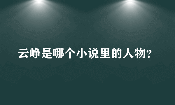 云峥是哪个小说里的人物？