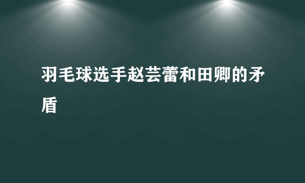 羽毛球选手赵芸蕾和田卿的矛盾