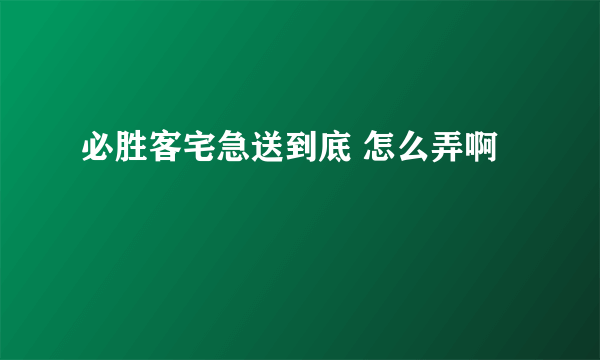 必胜客宅急送到底 怎么弄啊