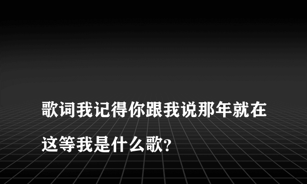 
歌词我记得你跟我说那年就在这等我是什么歌？

