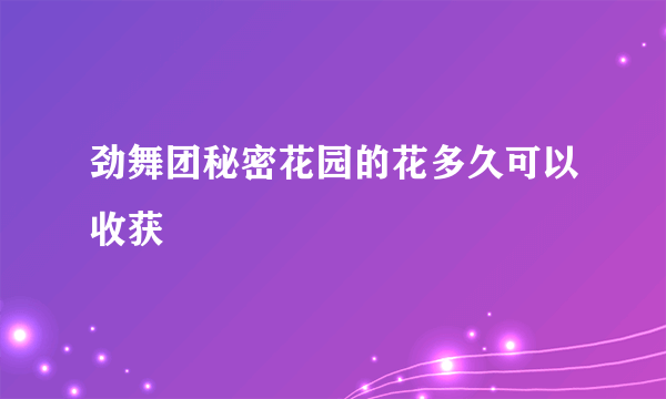 劲舞团秘密花园的花多久可以收获